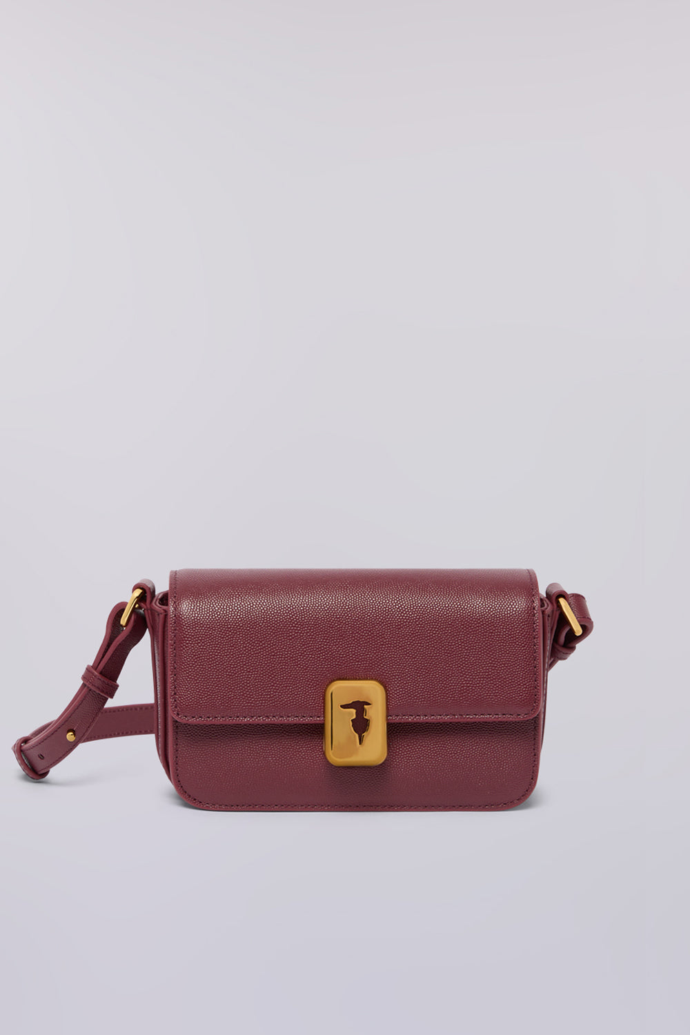 Borsa a tracolla Cameo mini in pelle 1|8609cfd57c02c15b6d0d5e85a18d6a7002097e9cae798829c417eca4c4a2d13a