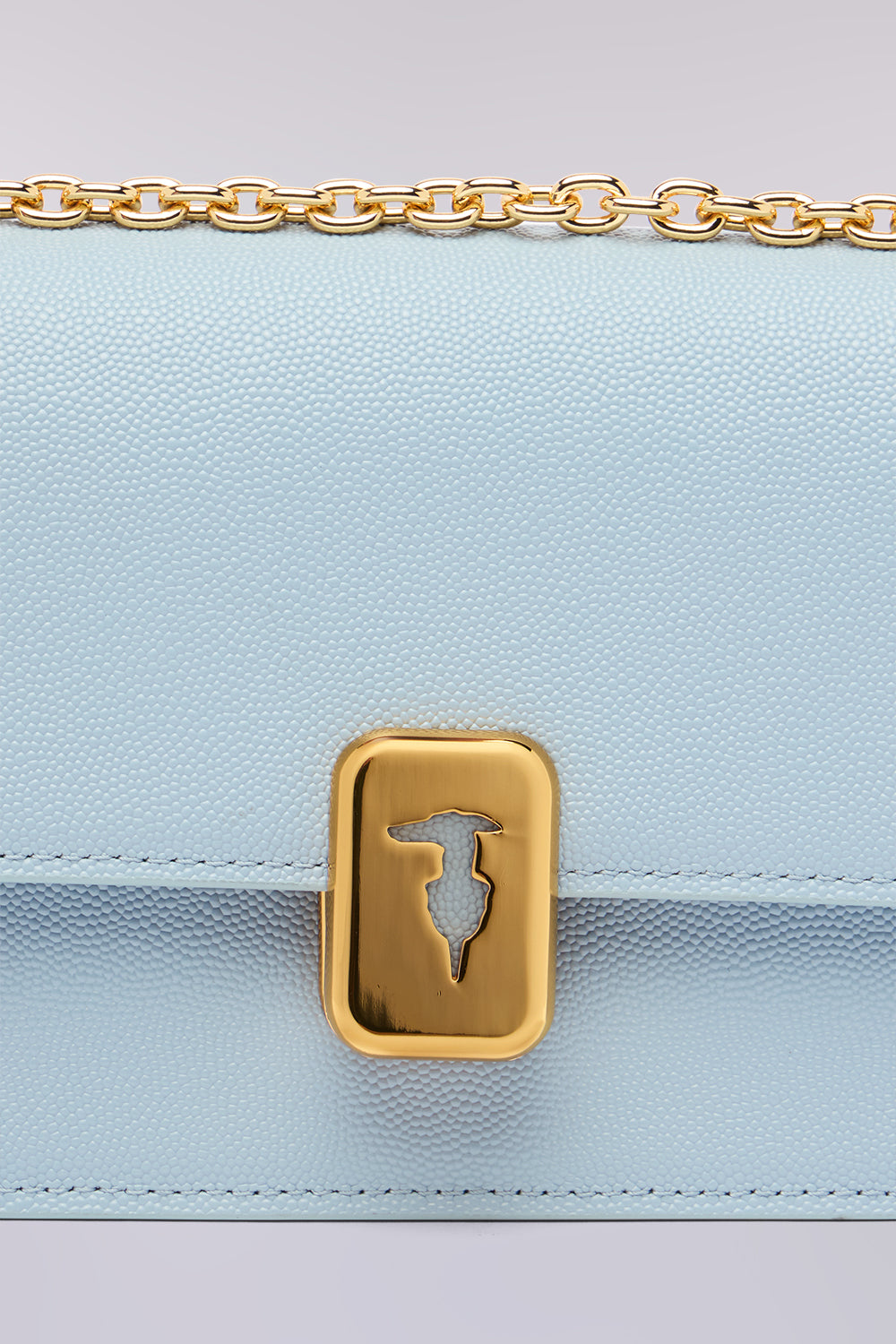 Borsa a tracolla Cameo small in pelle con catena 3|703e69bb12551558194d3142d31a49730ae3f8987fad46e02913ee53c504d3e5