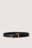 Gentle Society logo belt