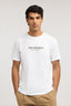 T-shirt regular fit in jersey di cotone 2