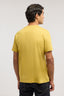 T-shirt regular fit in jersey di cotone 3