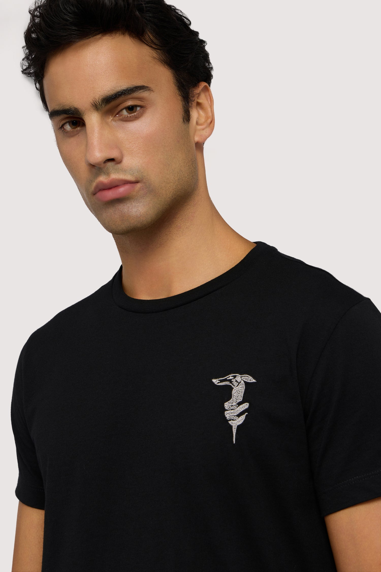 T-shirt regular fit con ricamo in contrasto 3|7b4a08fcdceab05cf9f7607090ffe1bac1354800afe8389431f4e912c70c85ce