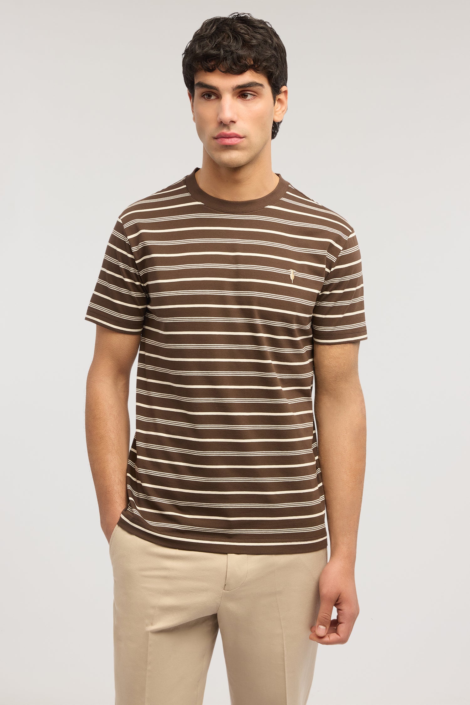 T-shirt regular fit in jersey a righe 1|f5fab7d317e5e542bf555e3ed9cb733ad1c3628795963defe59c8ab940674190