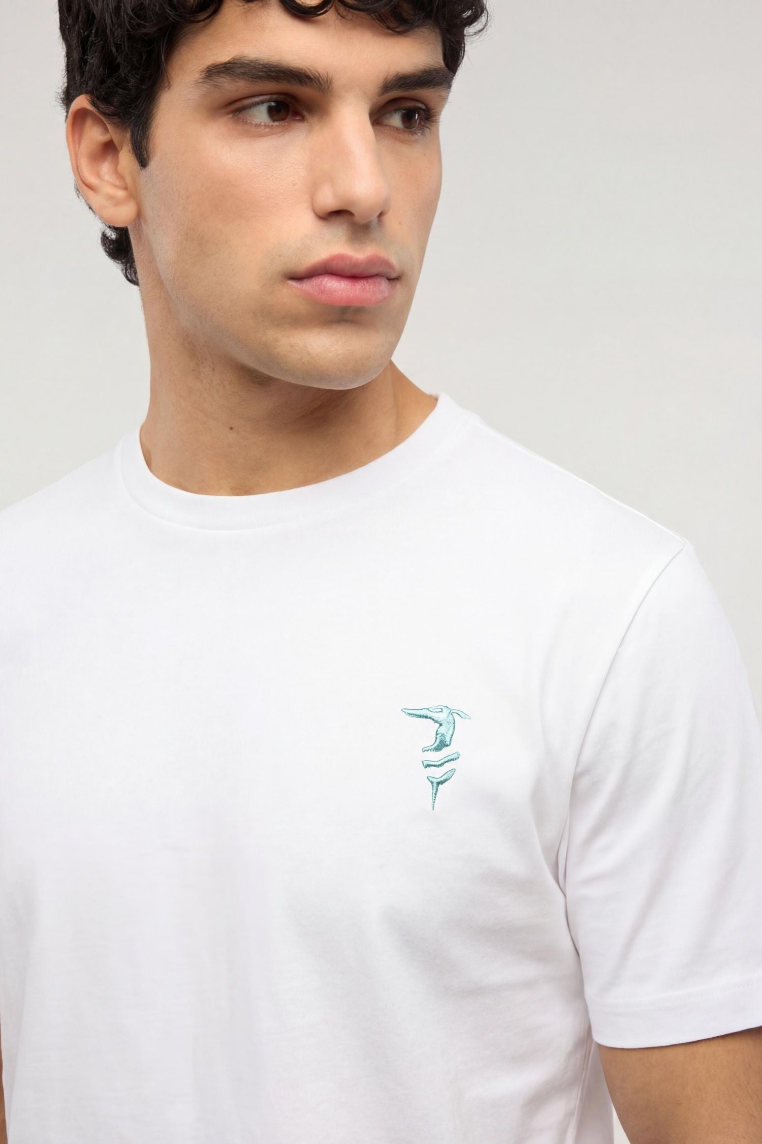 T-shirt regular fit con stampa in cotone 3|d43658ed64173b95266742fc1802f0de11fa5a600bdabc4fcdc38275bc175932