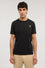Regular fit T-shirt with print in cotton