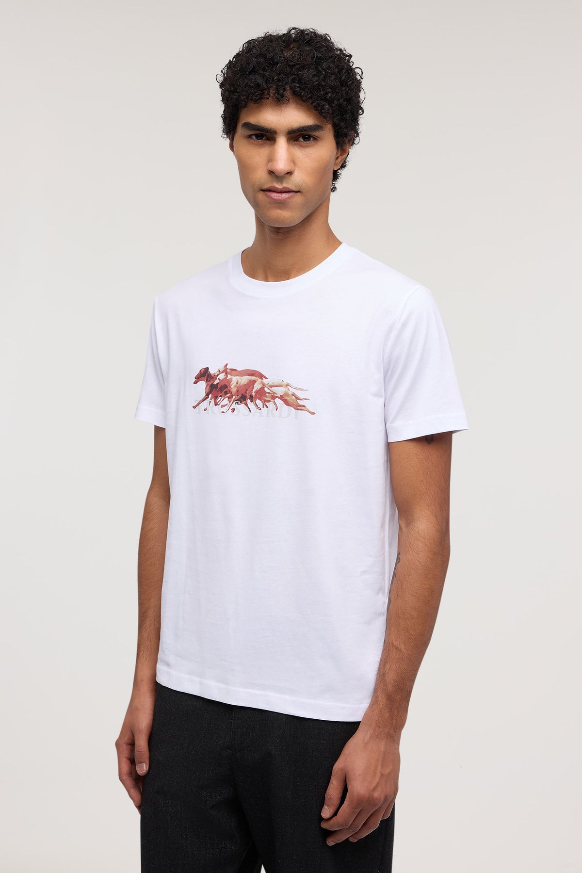 T-shirt regular fit con stampa in jersey 1|caf34ffa732567c2905144458c04a5fdf1177f2c452a8b882534ab35a938c90f