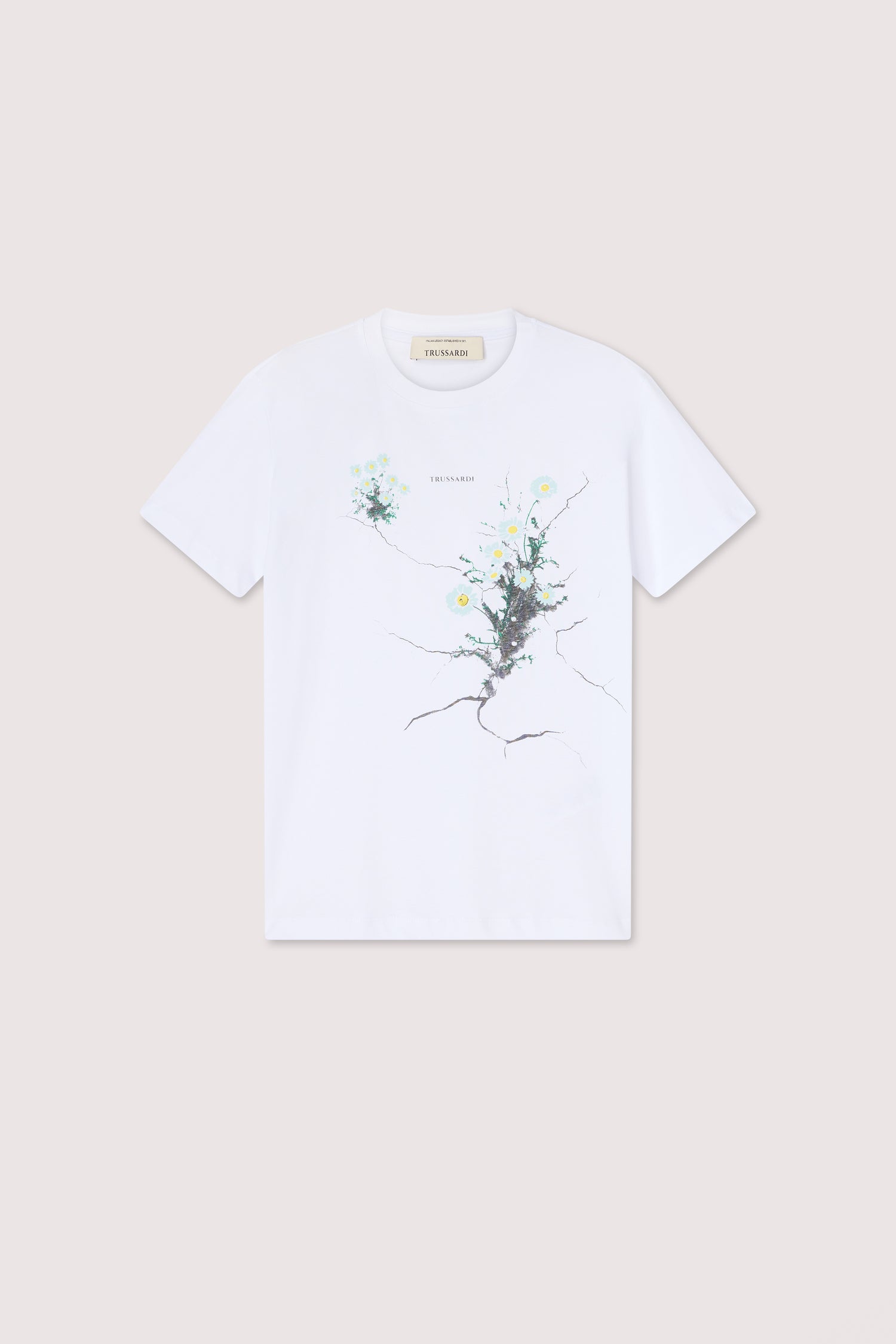 T-shirt Regular Fit in Cotone 5|37ec1f00ea0c28ea0c9ffd9b5b6c4a9295f069b6ba6ff28aba2655be4751c3d5