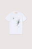 T-shirt Regular Fit in Cotone 1