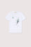 Regular Fit Cotton T-Shirt