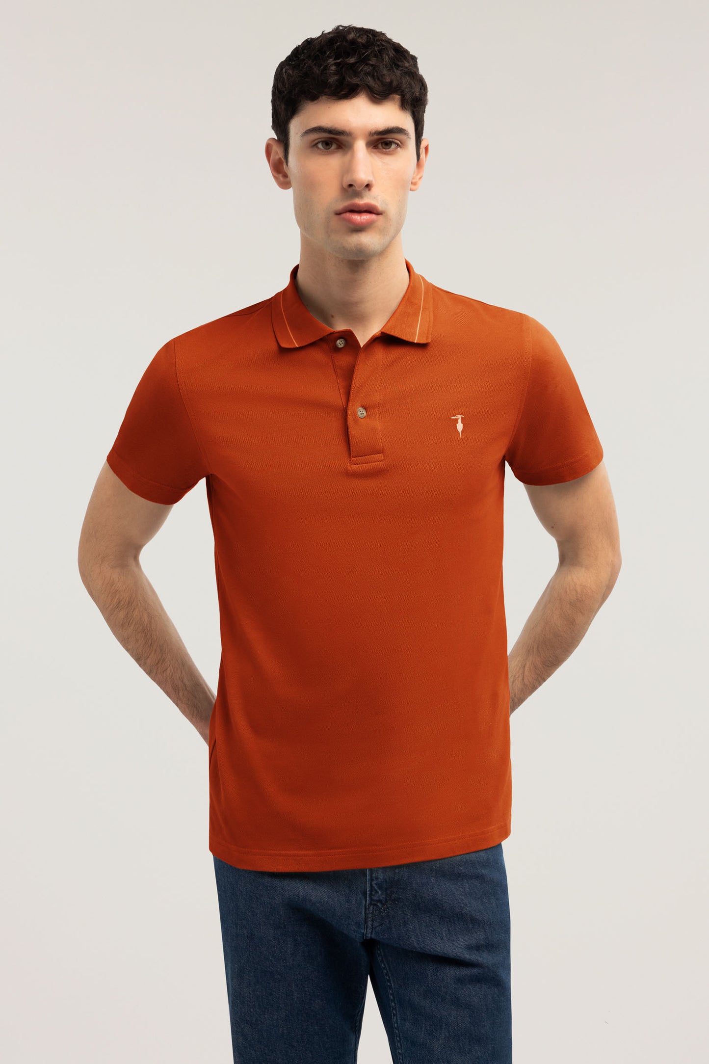 Polo regular fit in piquet 1|3d0c5fc45e7c346c296a4e183a59dea8fc927c66bc3295977da569bc1ab4179a