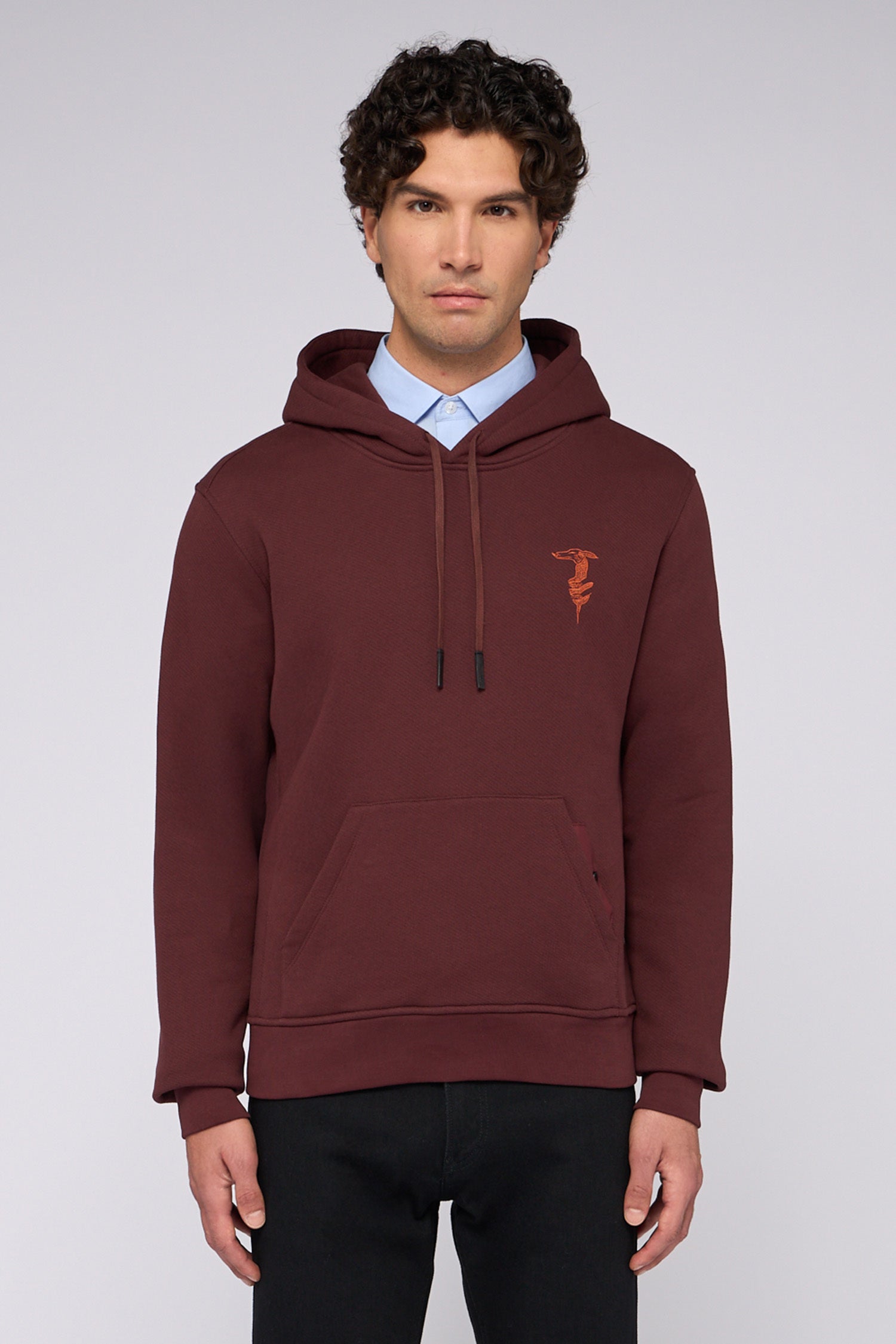 Felpa con cappuccio in jersey con ricamo 1|625c774a52ecc85db8252231402bb2cfc0ed33ecb7f0fafedc01e98174e27bef