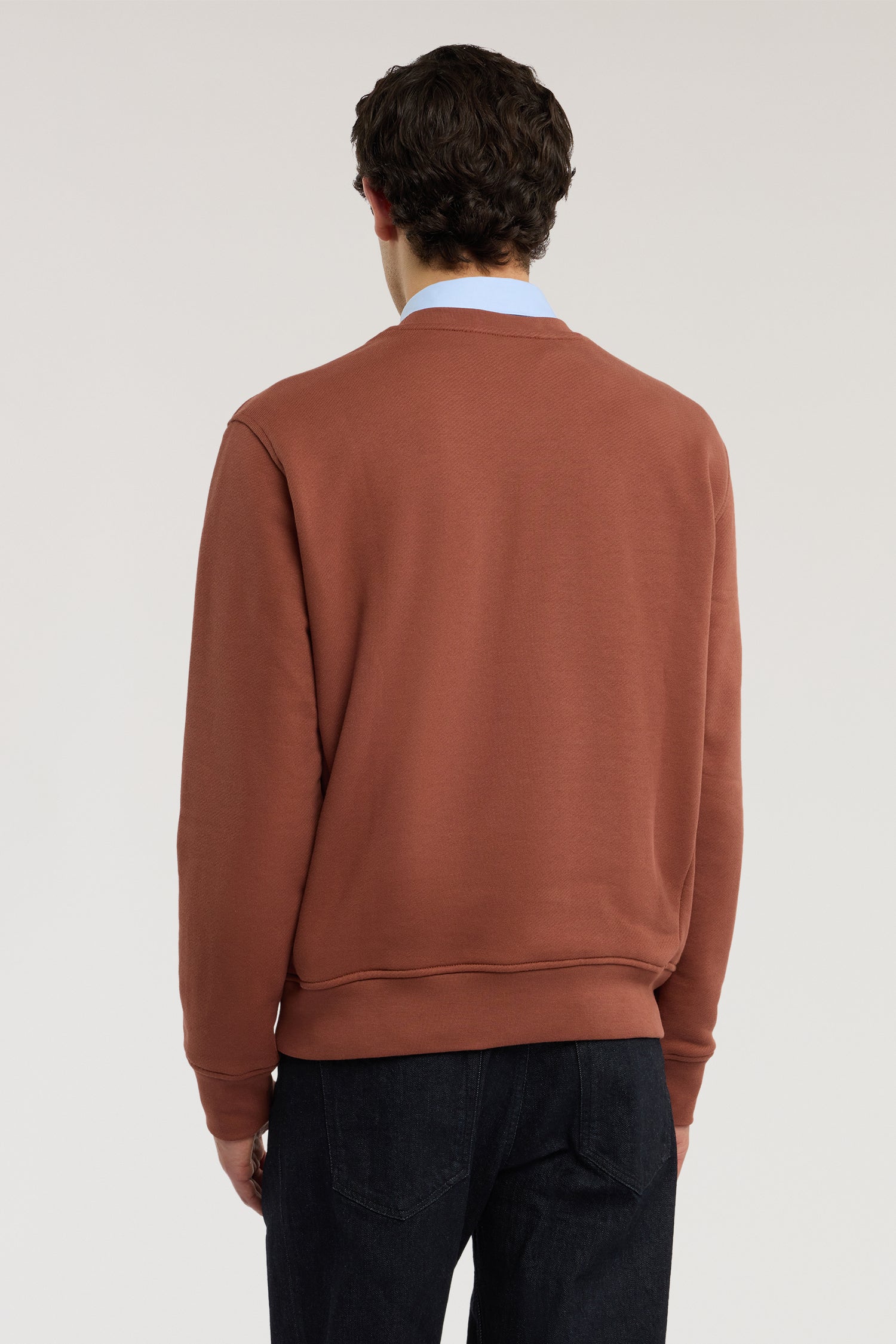 Felpa girocollo in jersey con stampa 2|e55c536c9870be58da2fda95cd755db4c6ab5cc3391cff24db18be775dddaa62