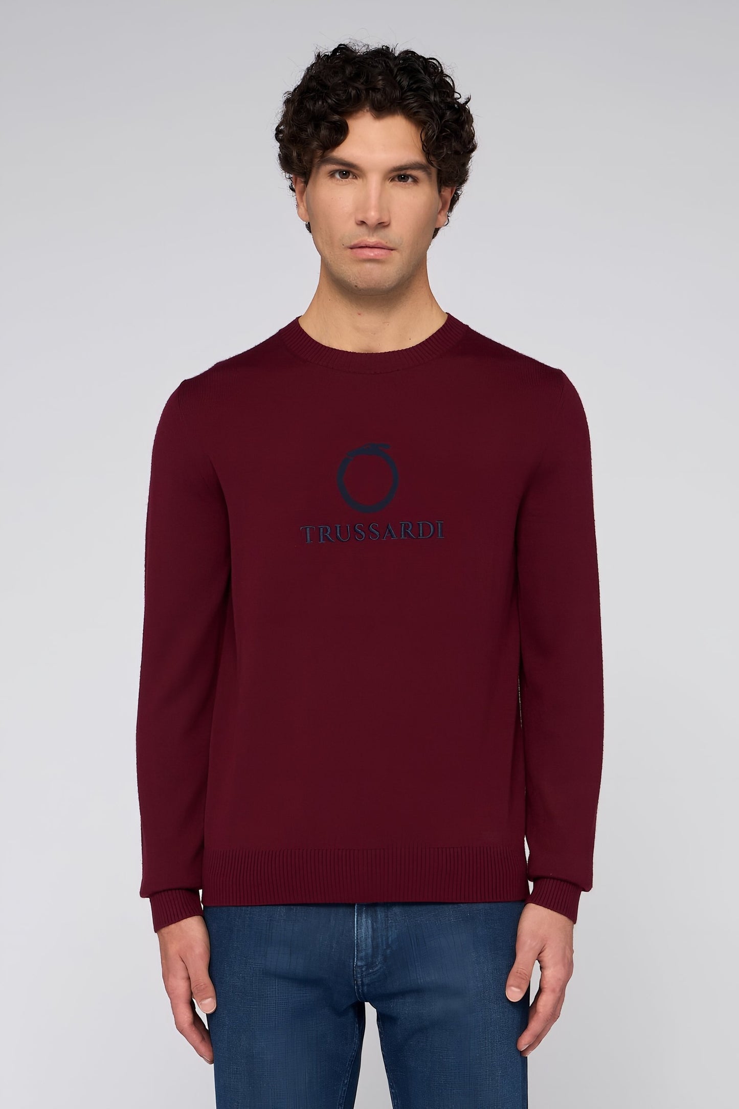 Maglione girocollo in misto lana con jacquard 1|be9192658f3fbea92002ee9e164975d81c4ccb0dbedeb17c751326958b2866d2