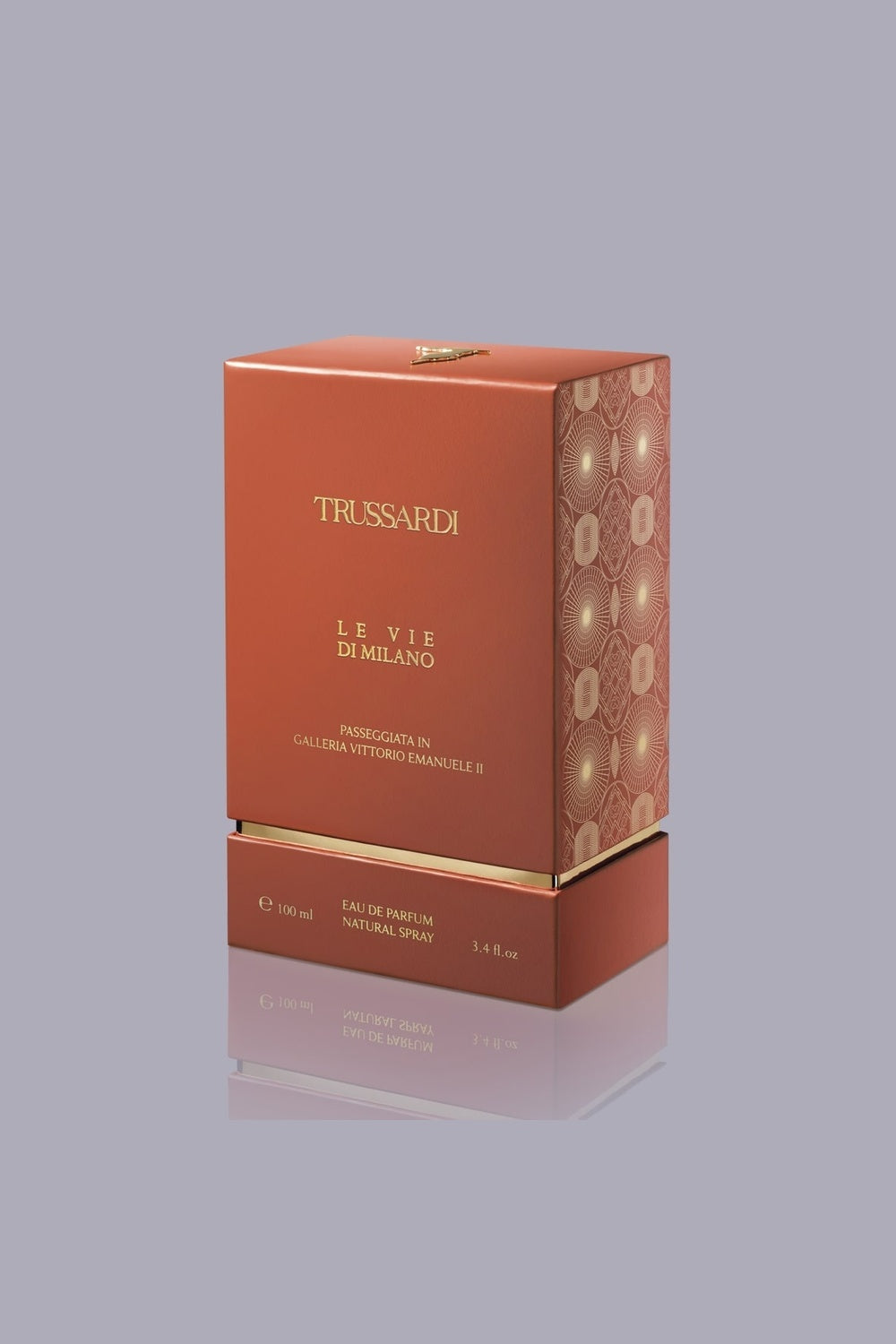 Passeggiata in Galleria Vittorio Emanuele II Eau de Parfum 100ml 4|361b1e09beec05c5b2633b6e451d9690119a83f1be030c14ce7cdaacf59a8606