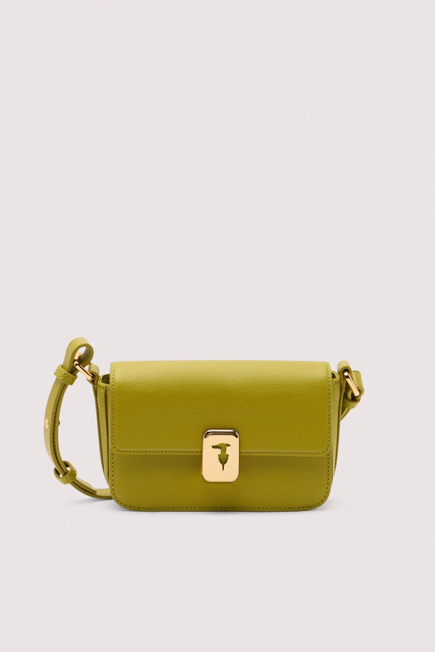 Borsa a tracolla Cameo mini in pelle 1|fd22a1b6c7361658a29dffa8e26683fe68de2cdbd521204e1486d318347e9896